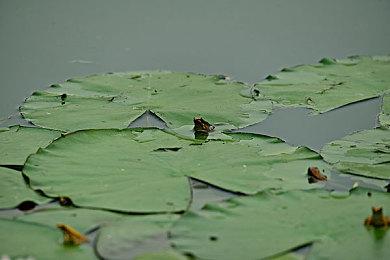 苹果公布M1 Ultra：性能是M1的8倍